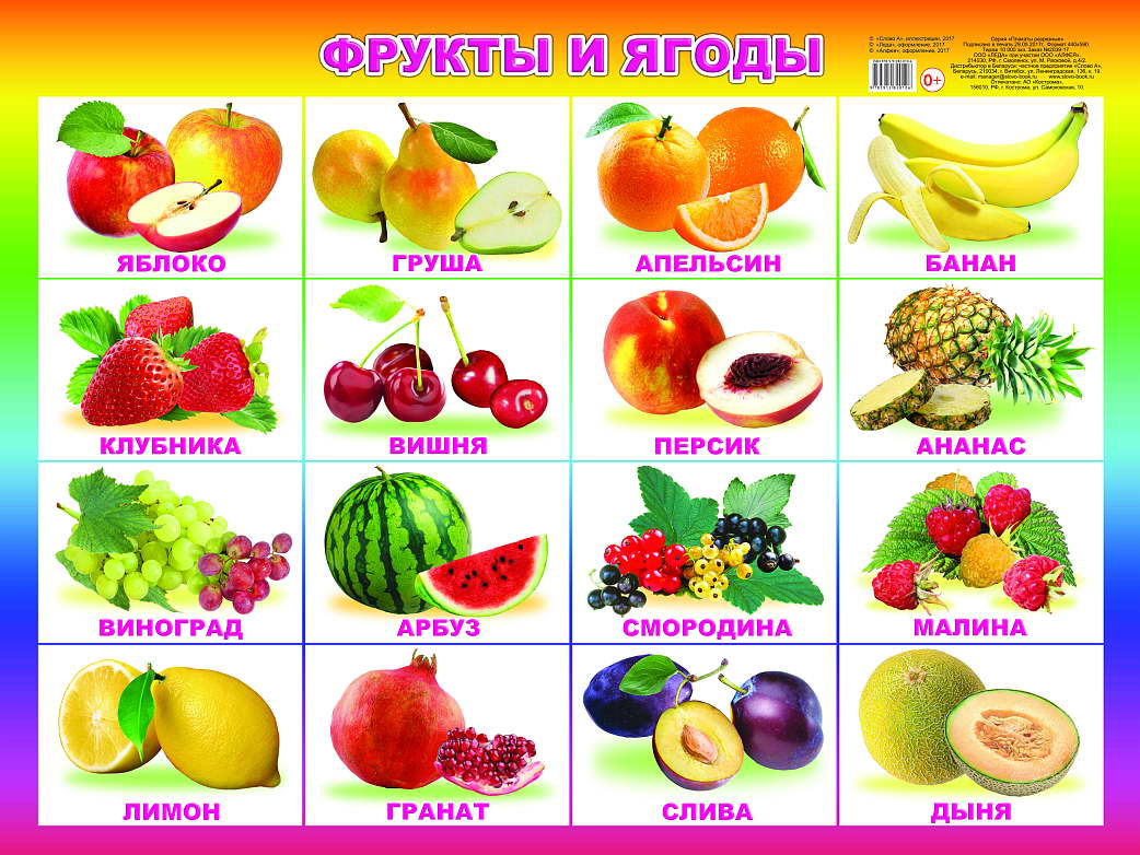 Плакат овощи и фрукты