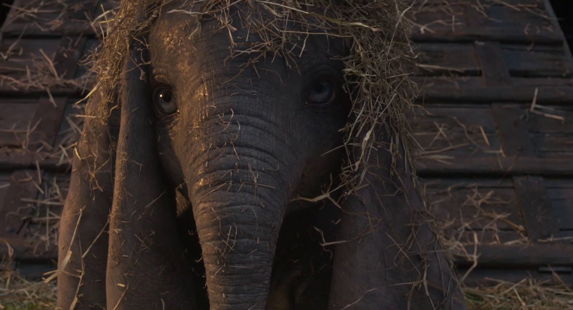 Dumbo 1080p Bluray DTS-HD MA 7 1 X264-EVO Dumbo 1080p Bluray DTS-HD MA 7 1 X264-EVO