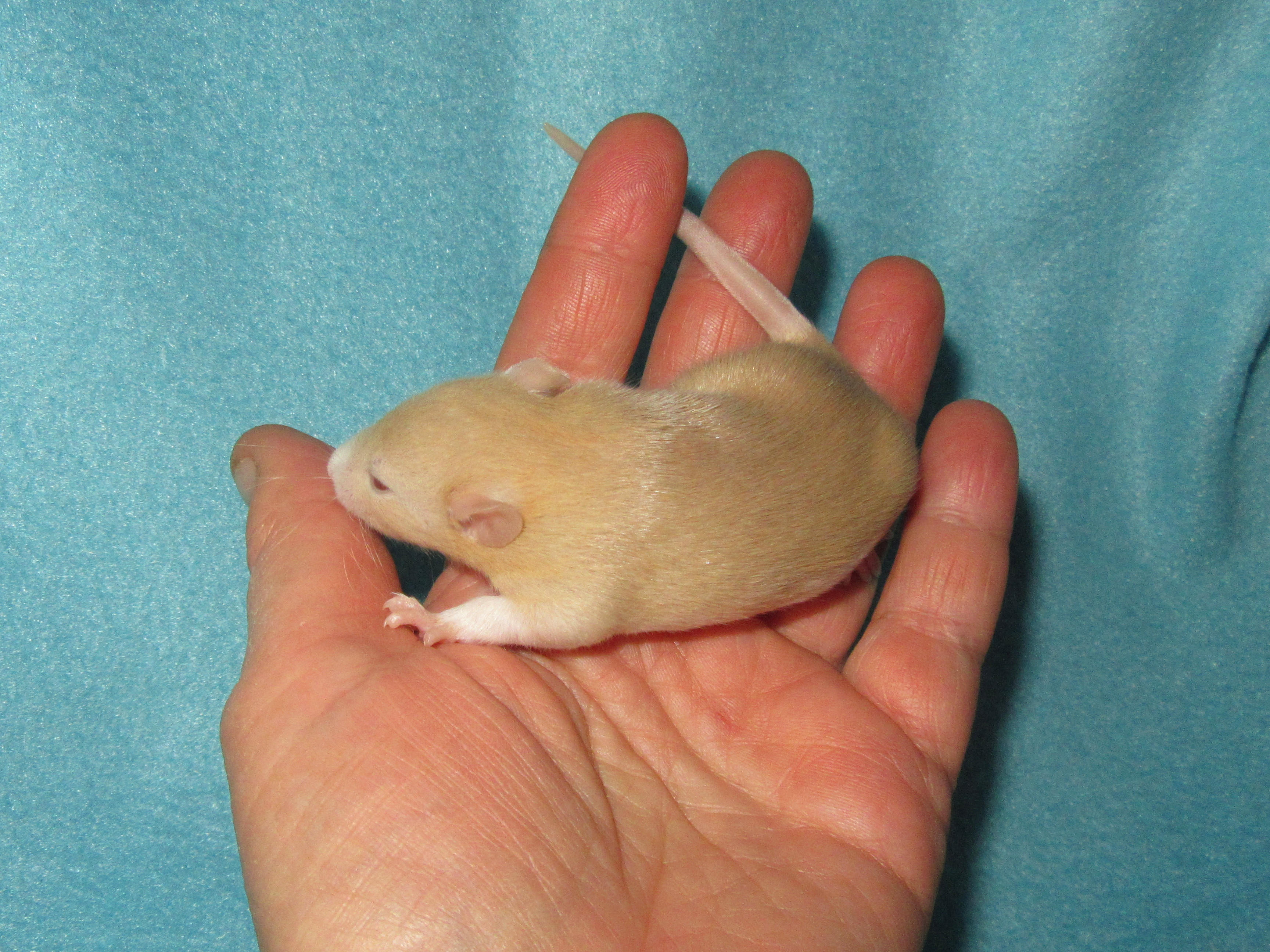 В Д1 201.jpg