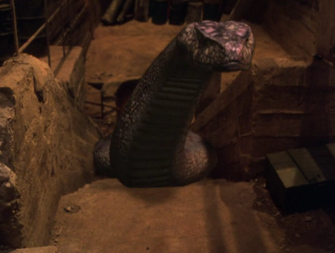 Python.2.2002.WEB-DL.1080p[(116800)18-02-42].PNG