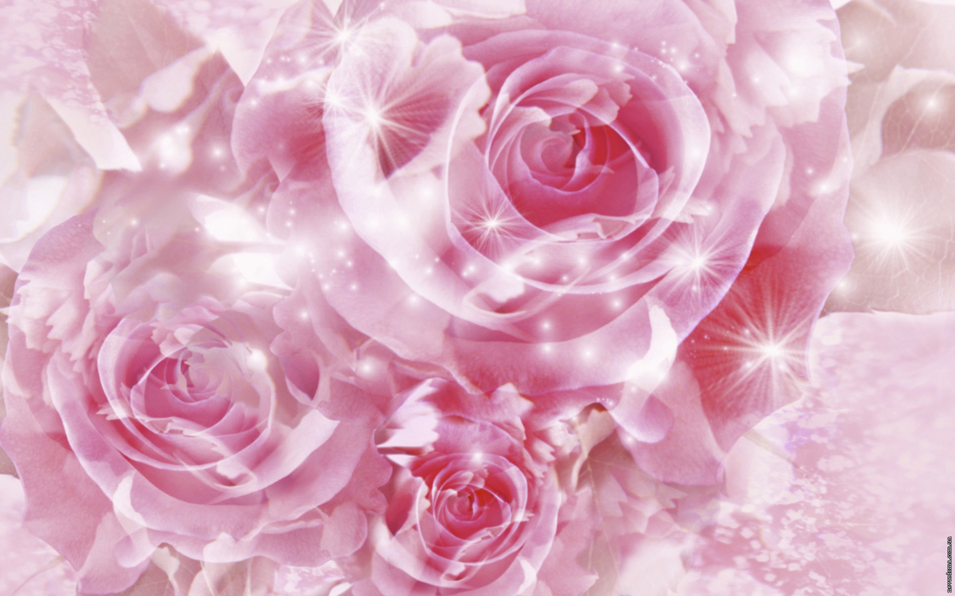 1257711178_flowers_wp_37.jpg