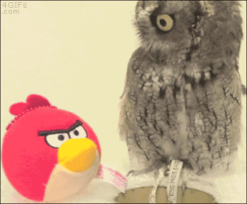orig.gif