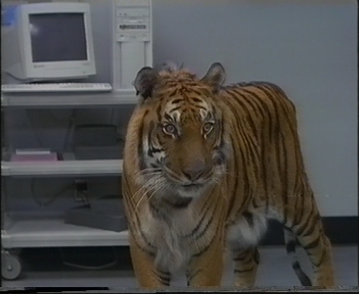 Доктор Дулиттл (1998)(VHS)(Серый75).mpg_snapshot_01.05.24_[2019.11.12_23.57.51].jpg