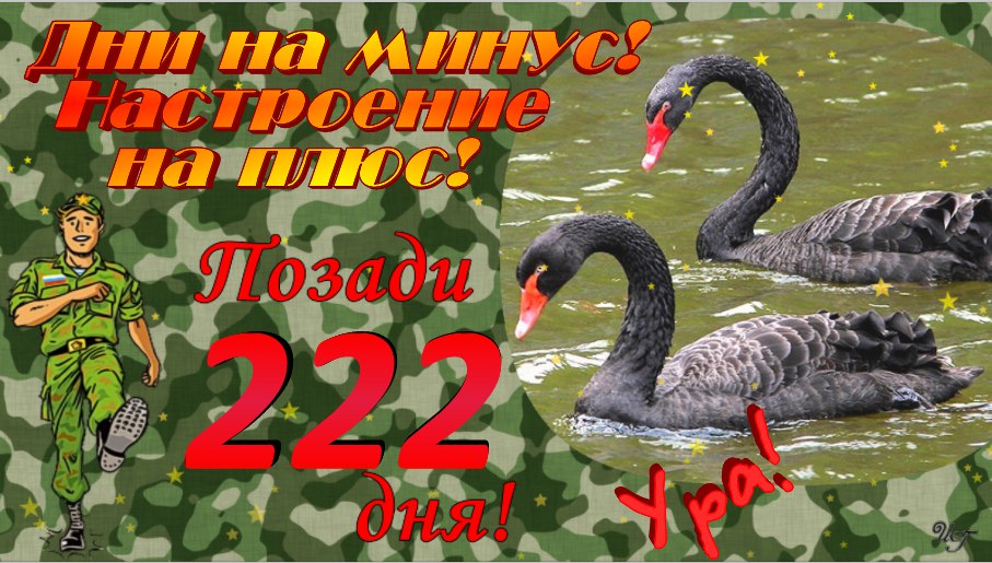 https://i2.imageban.ru/out/2020/02/02/8d974b46b77b949fbf1ce52566316f2e.jpg