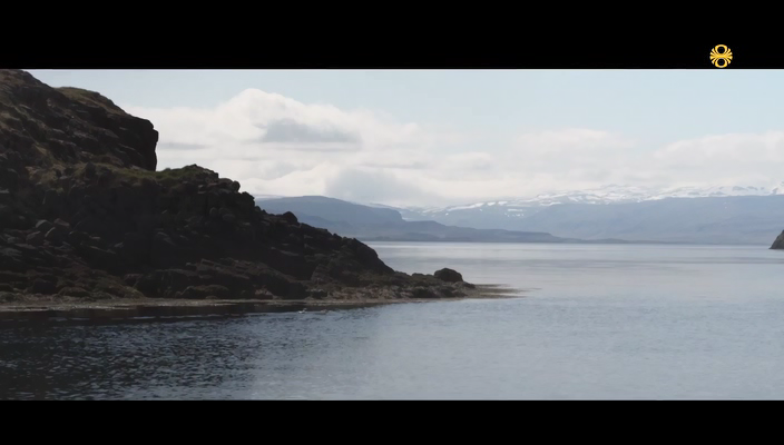 Загадка острова Флатей 1 Серия 400р.avi_snapshot_06.32.840.png