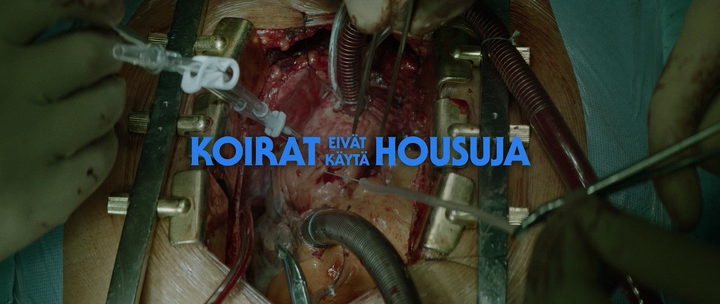 Koirat.eivat.kayta.housuja.2019.HDRip-ylnian.avi_snapshot_00.00.54.077.png