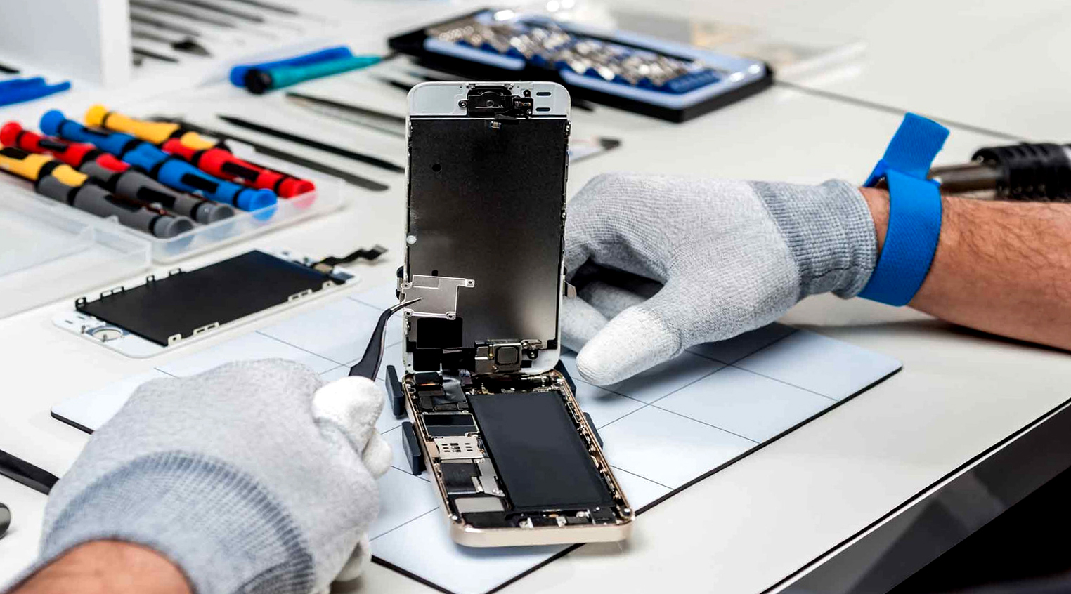 Ремонт iPhone в Минске в компании Pedant: в чем преимущества Ремонт iPhone в Минске в компании Pedant: в чем преимущества