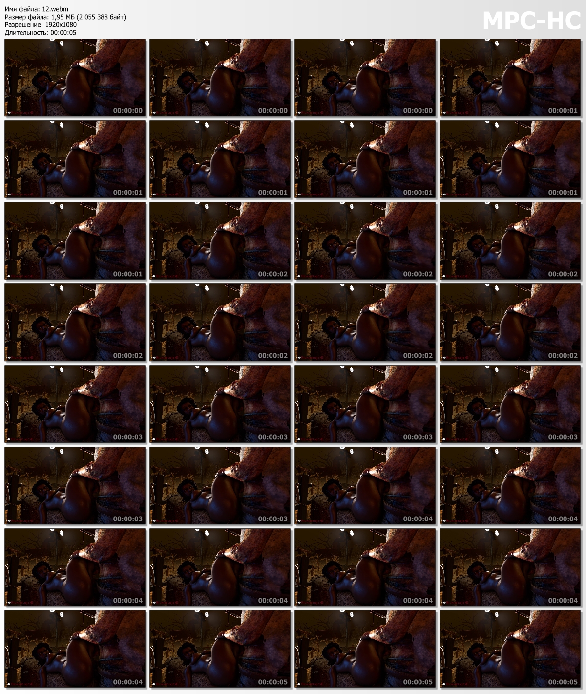 12.webm_thumbs.jpg
