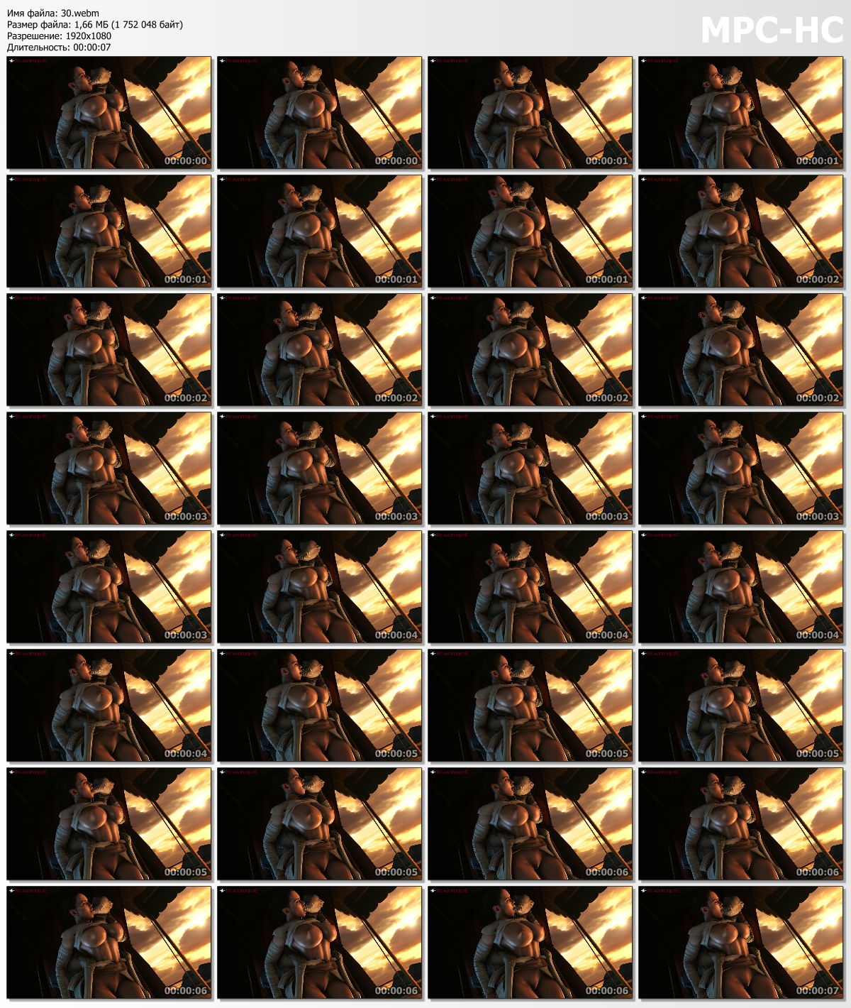 30.webm_thumbs.jpg