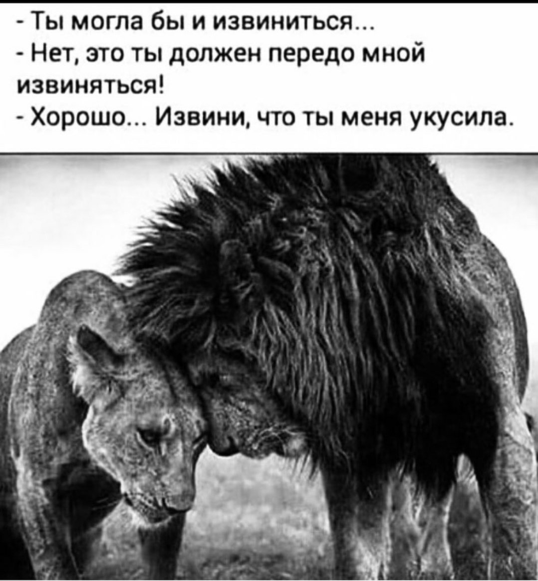 IMG_20200813_144818.jpg