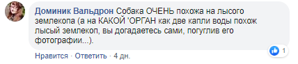 24fd023e032d261043d3d8c63a1cb63f.png