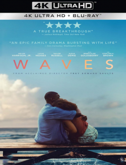 Waves - Le onde della vita (2019) .mkv 4K 2160p WEBRip HEVC x265 HDR ITA ENG AC3 DTS DTS-HD MA Subs VaRieD