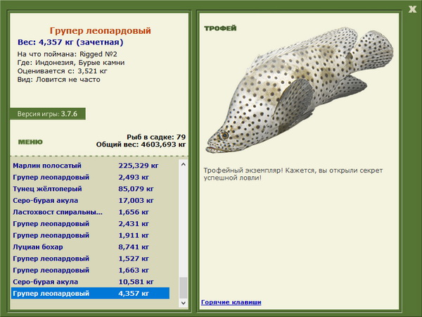 3 Групер леопардовый - Индонезия.jpg