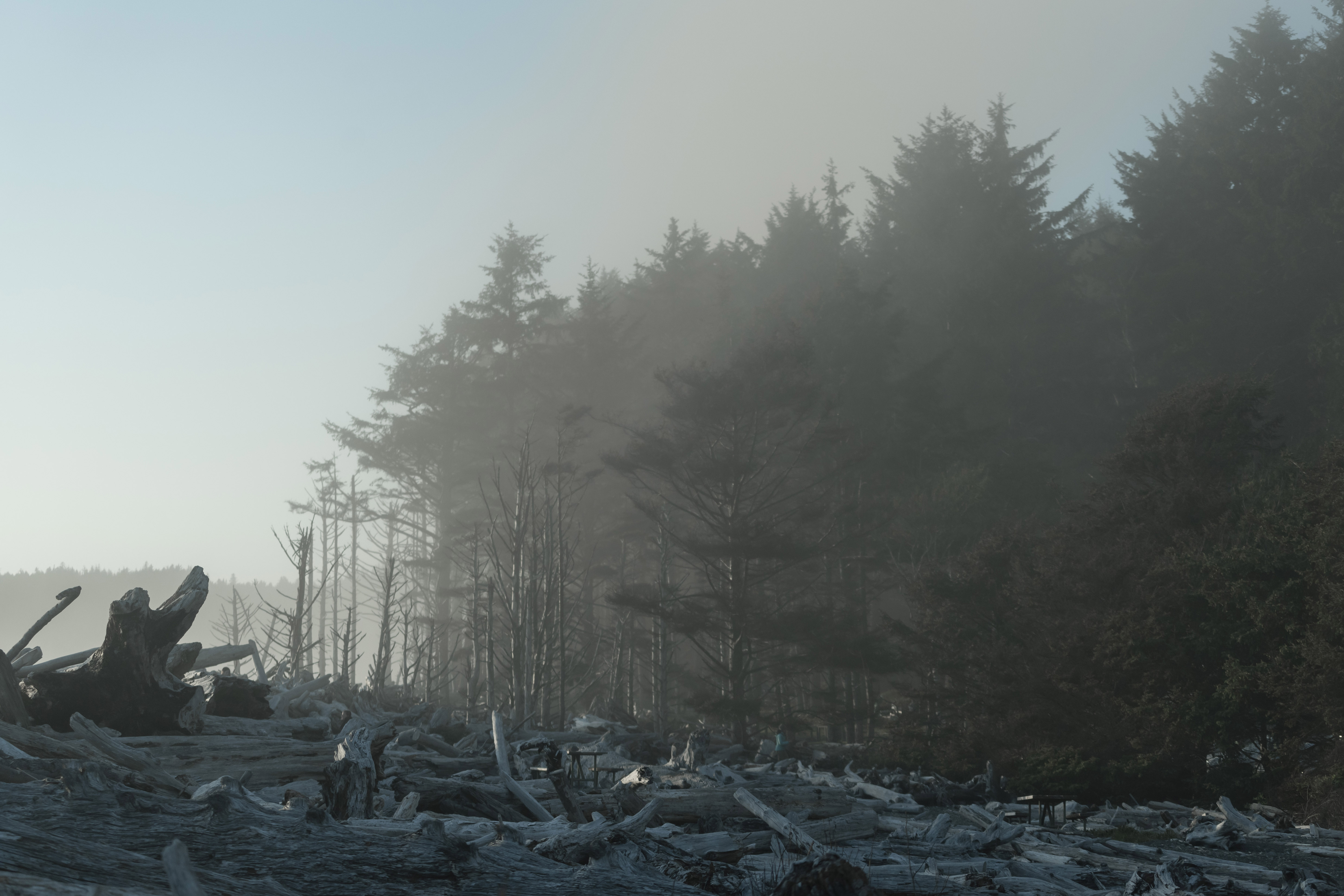 Dead Coast (330).jpg