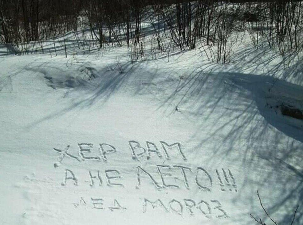 20210321_161346.jpg