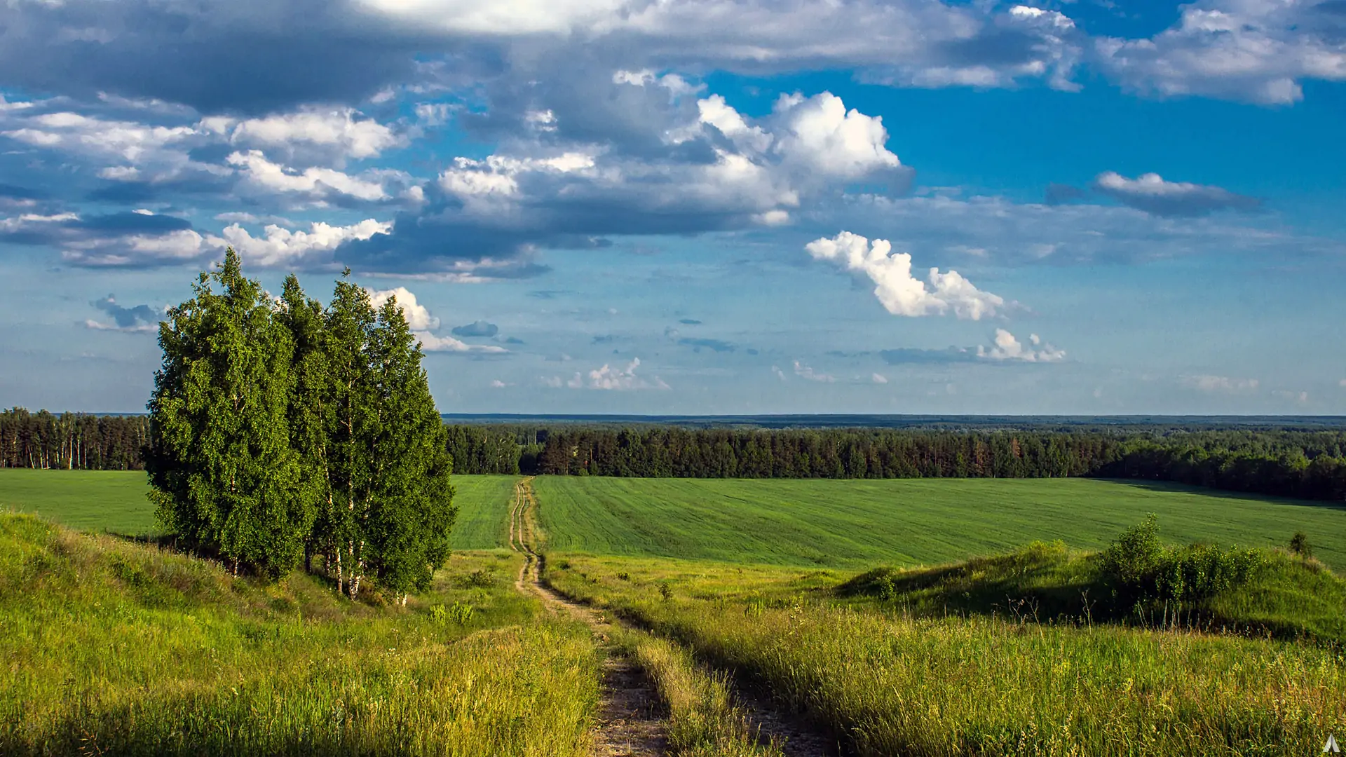 Среднерусская лесостепная провинция