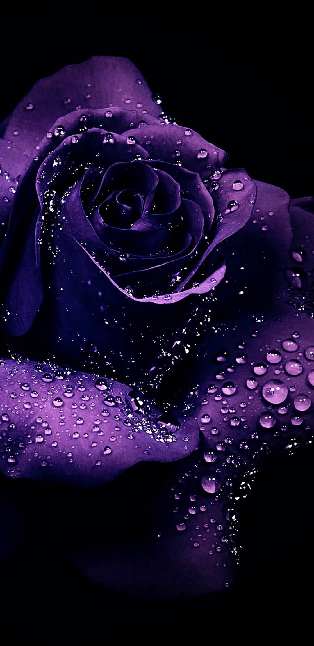 4eb23e327df452658d7569b5cc8caa56.jpg