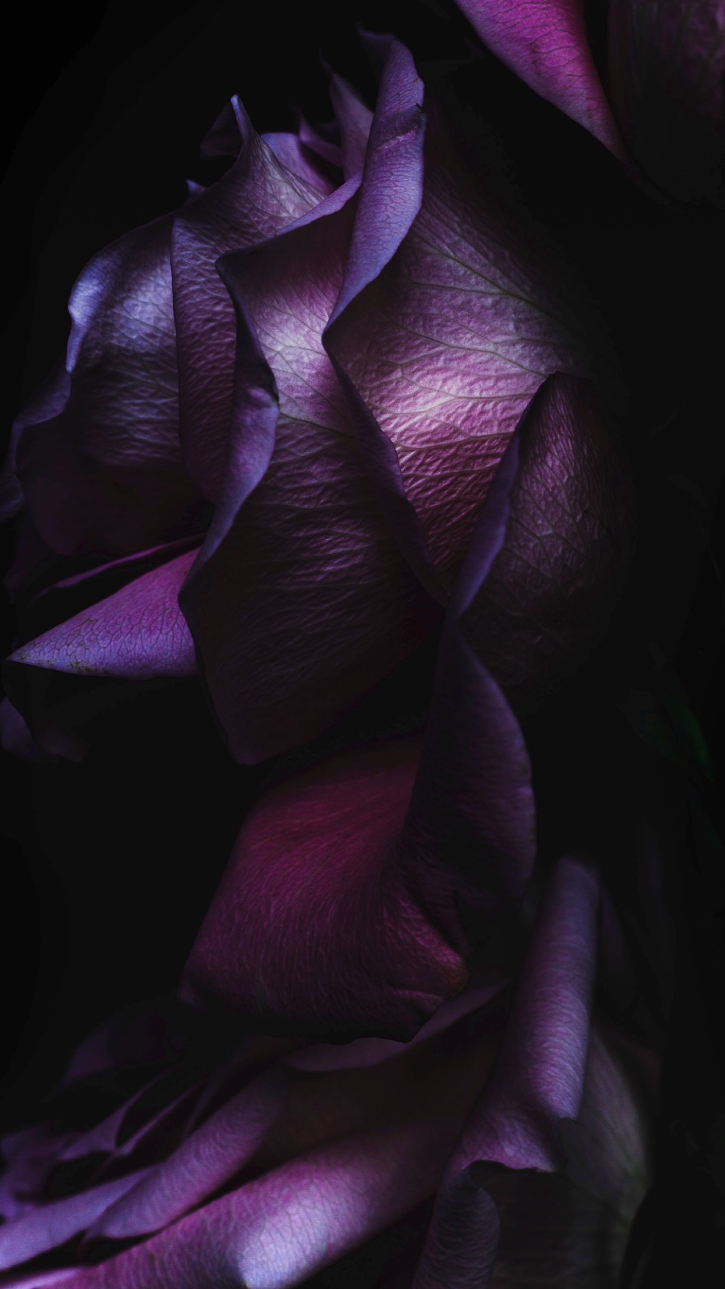 Black-purple-cool-iOS9-wallpaper.sc-SmartPhone.jpg