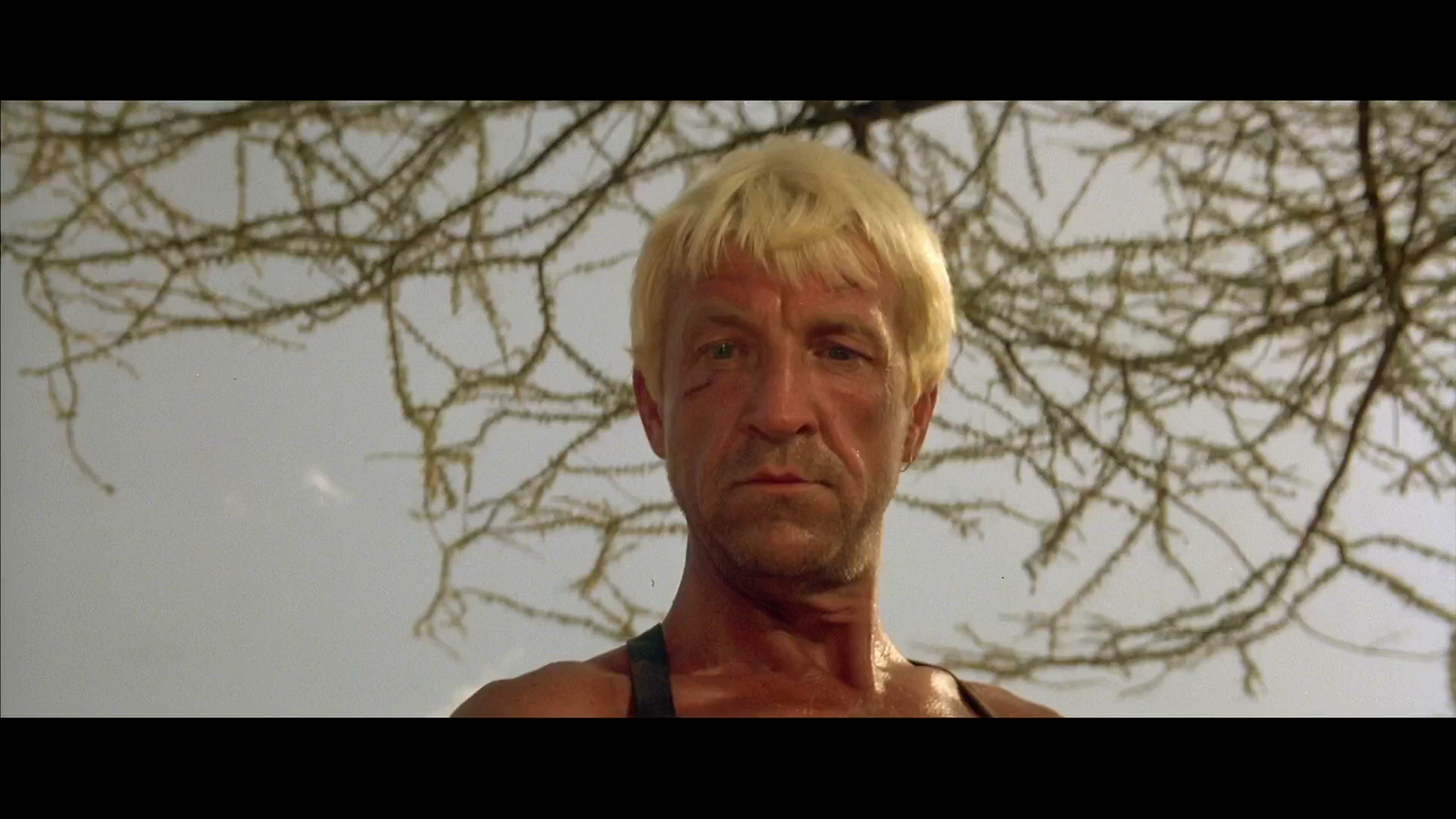 Sheena.1984.Mill.Creek.Entertainment.BDRemux.1080p[(125326)09-29-10].PNG