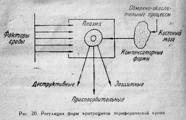 https://i2.imageban.ru/out/2021/10/10/3312e236dfbae9d5eaab928f7f3bf2cf.jpg
