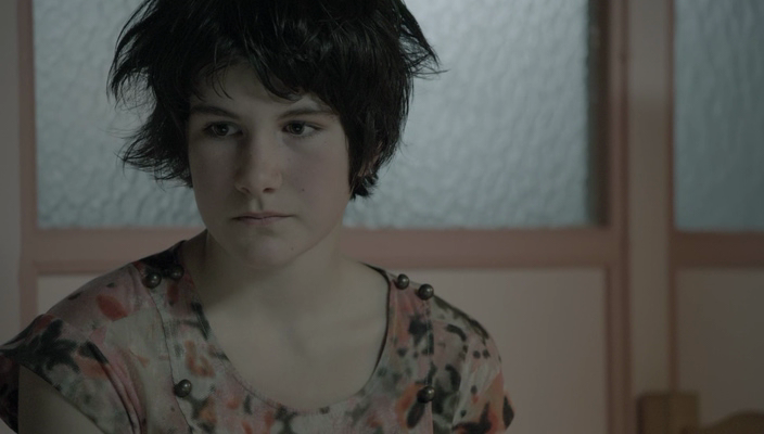    / Bron/Broen,  1-4,  1-38  38 (2011-2018) BDRip | Amedia (    )
