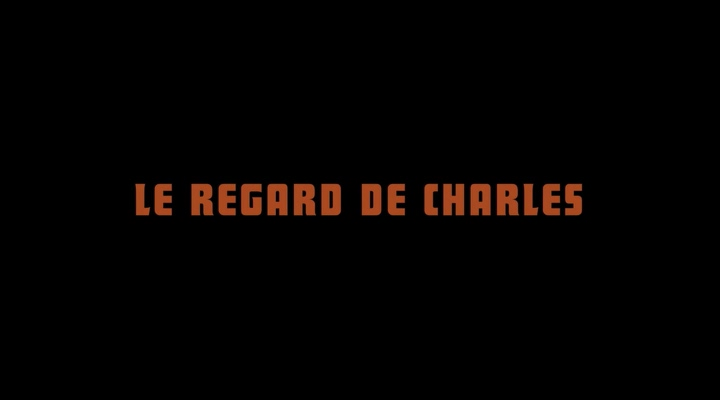 Le.regard.de.Charles.2019.WEBDLRip-ylnian.avi_snapshot_00.00.00.041.png