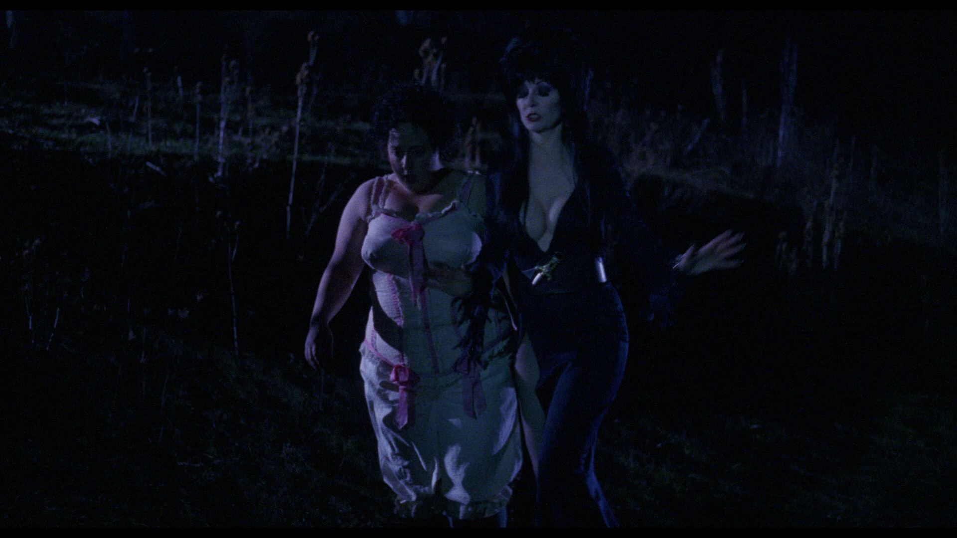 Elvira's.Haunted.Hills.2002.Shout!Factory.BDRemux.1080p[(121237)10-50-52].PNG