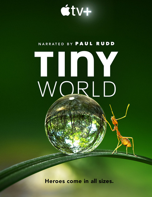 Крошечный мир / Tiny World [S02] (2021) WEB-DL-HEVC 2160p | 4K | HDRezka Studio