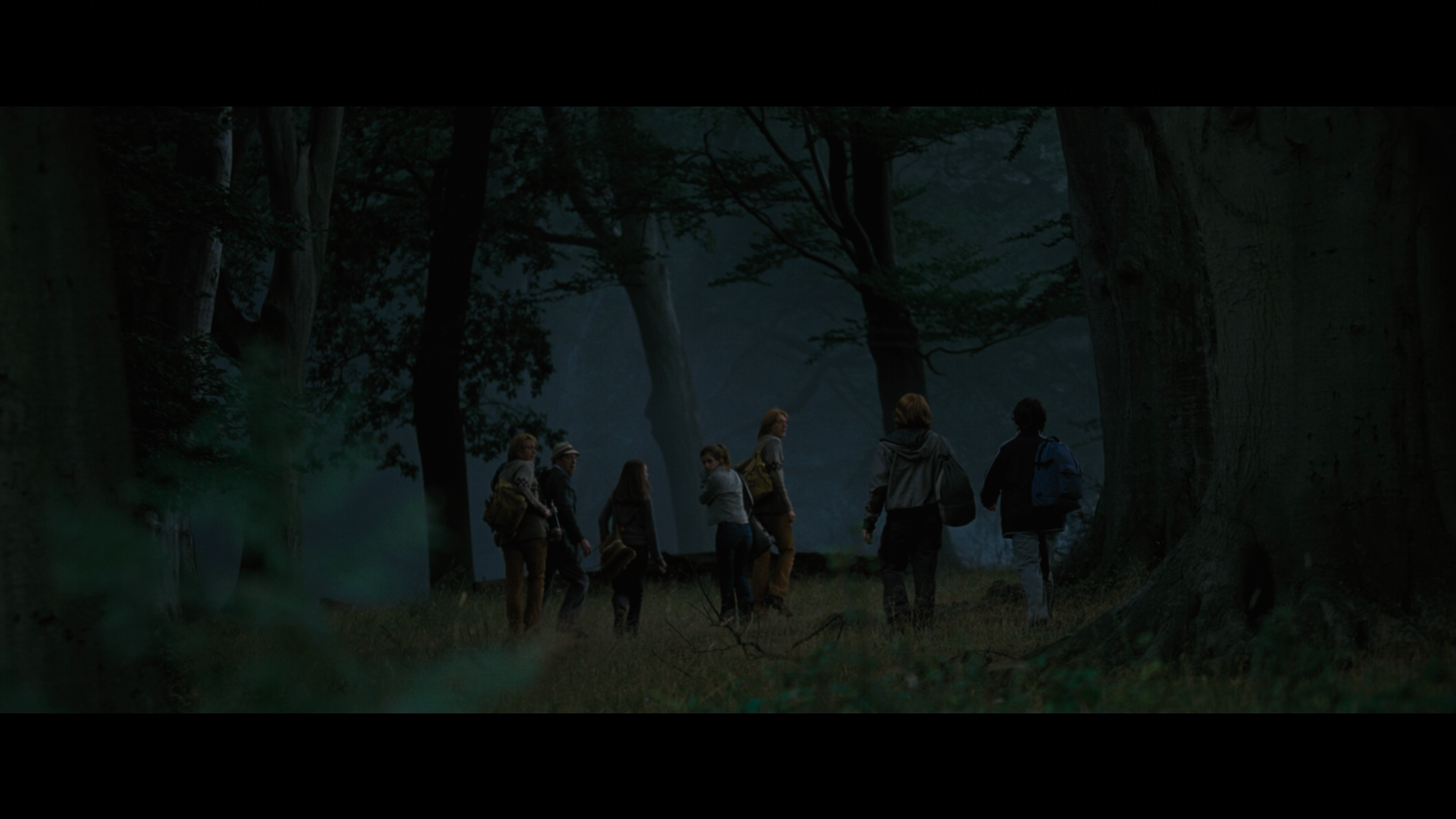 Harry.Potter.and.the.Goblet.of.Fire.2005.2160p.UHD.BDRemux.DTSX.7.1.P8.HYBRID.DoVi-DVT.mkv_000426.483.png