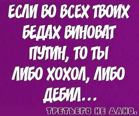 https://i2.imageban.ru/out/2022/02/02/6147b496d48fd2158895d710477062be.jpg
