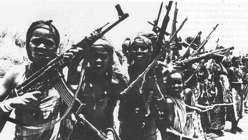 Штурмовая винтовка StG-44 – Африканский турист
