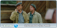   (2021) WEB-DLRip / WEB-DL (1080p)