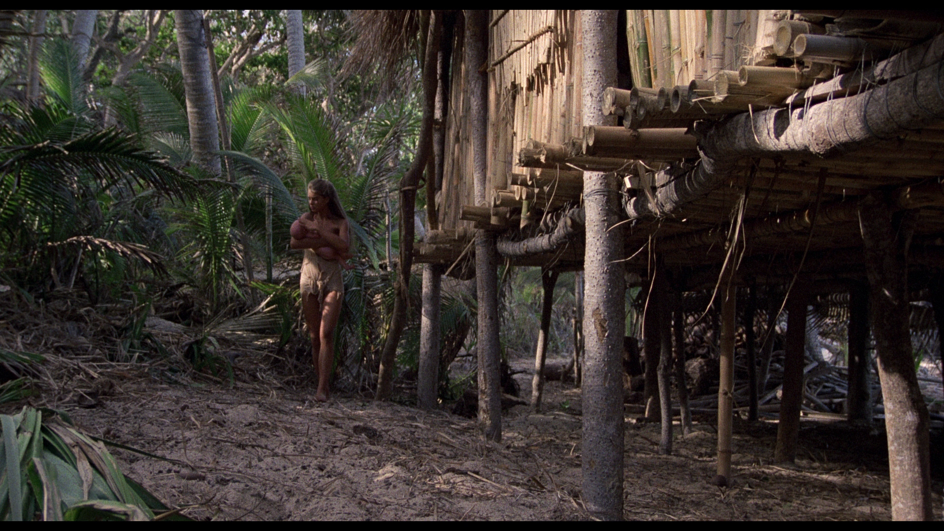 The.Blue.Lagoon.1980.Eureka!BDRemux.1080p[(116393)08-36-21].PNG