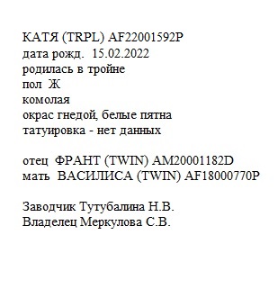 Катя анк Nattali.jpg