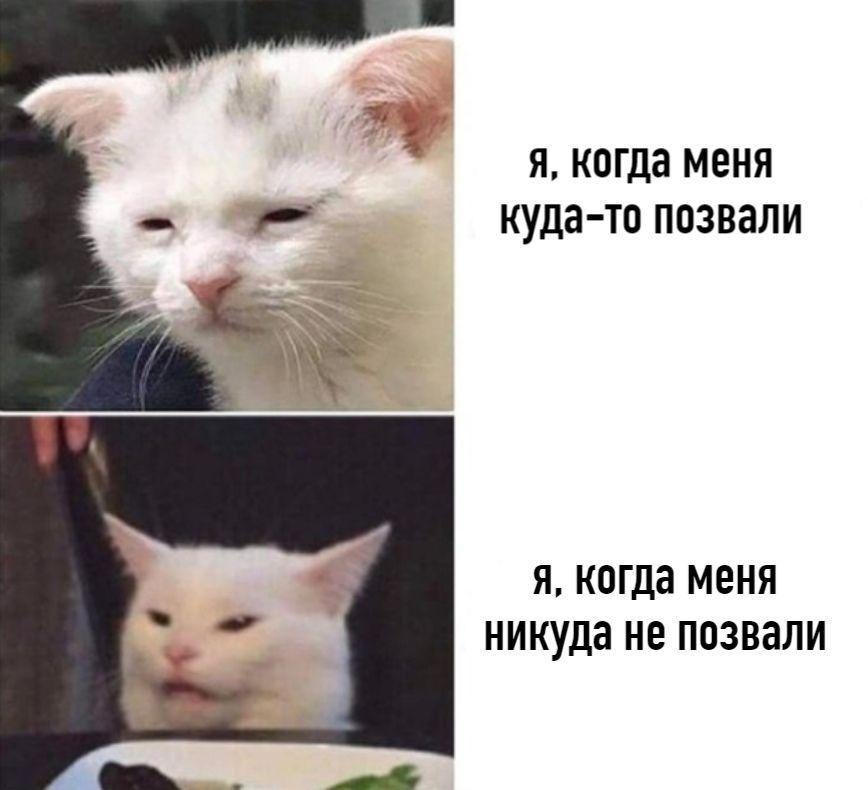 pgaJQ.jpg