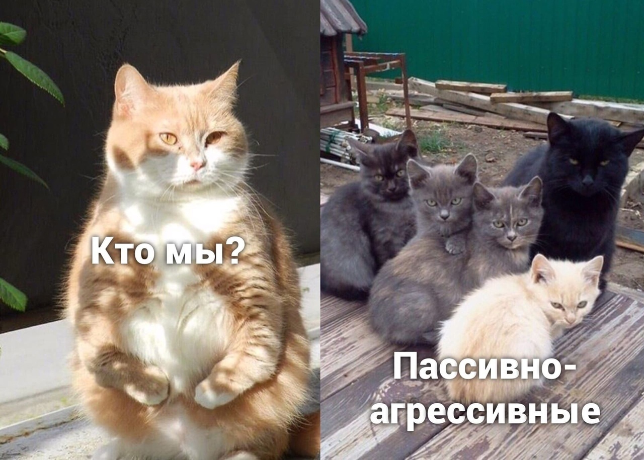 pa1.jpg