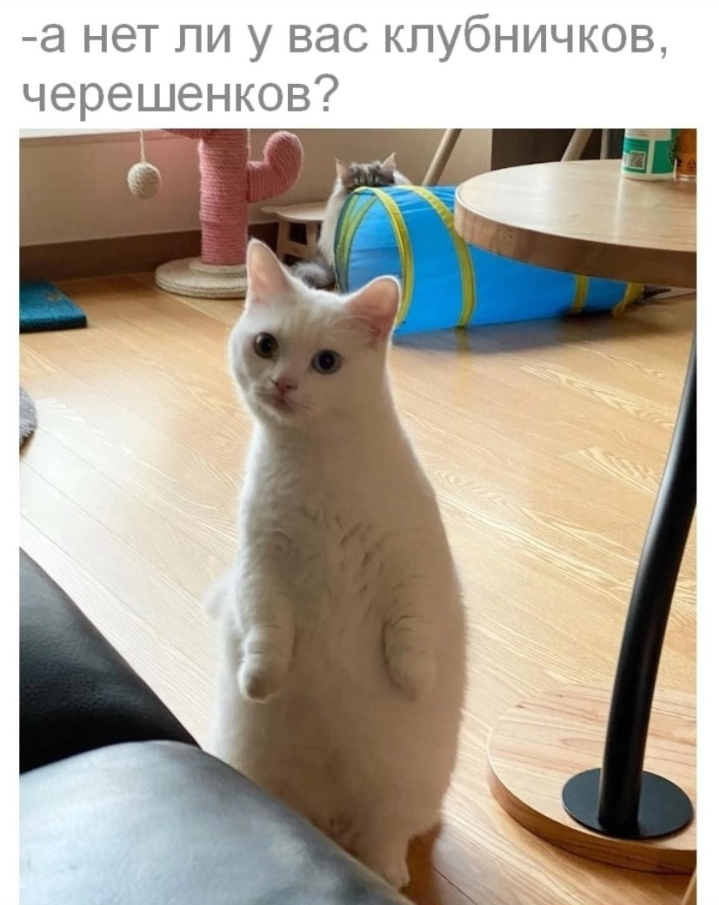 Screenshot_20220627-211725.png