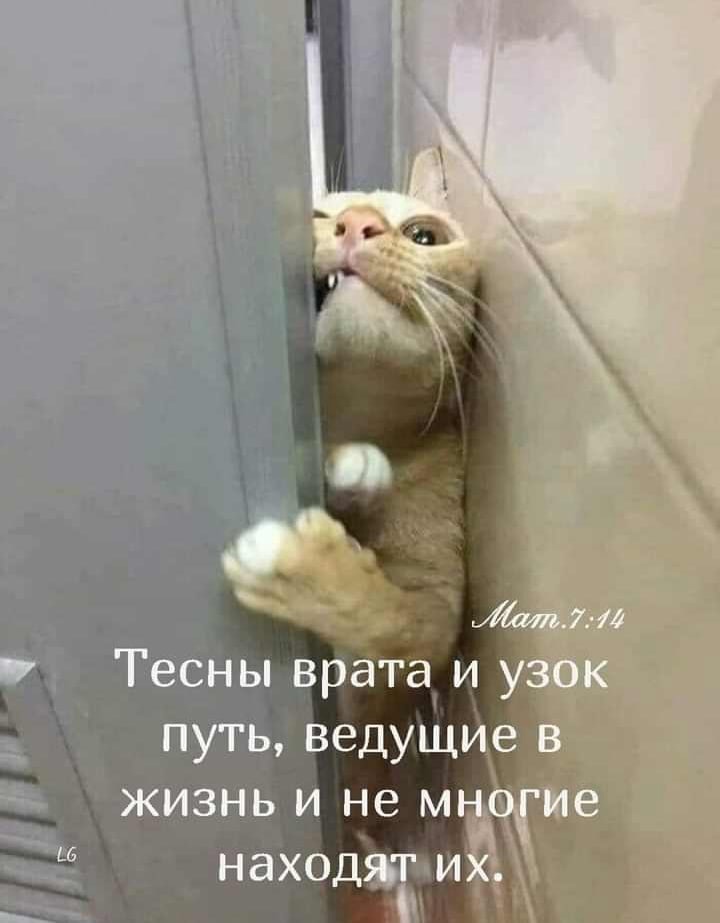 J9QvF-7GdQA.jpg