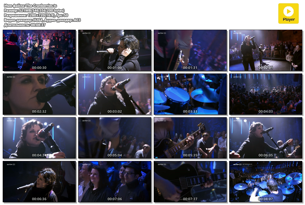 The Cranberries.ts.png