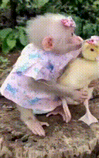 01d05bb982e82e9690dec5e6c3852d41.gif