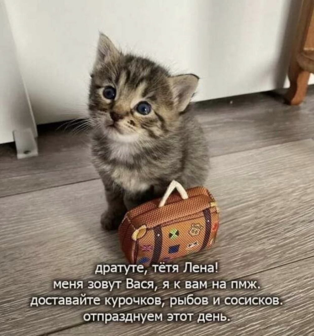 DBEMZKHJWH0.jpg
