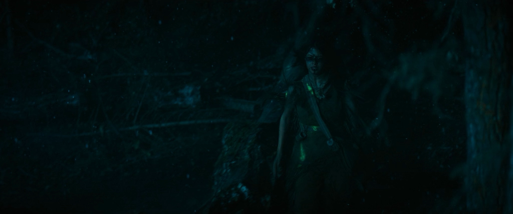 Prey.2022.MVO.NewComers.X264.WEB-DLRip-AVC.[wolf1245.ExKinoRay].mkv_20220808_221635.229.png