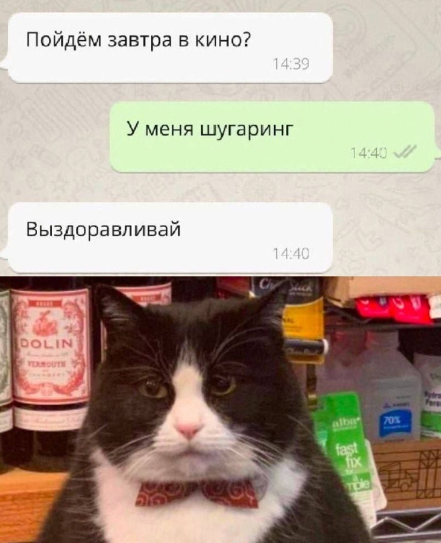 PmWK9CiZOCE.jpg