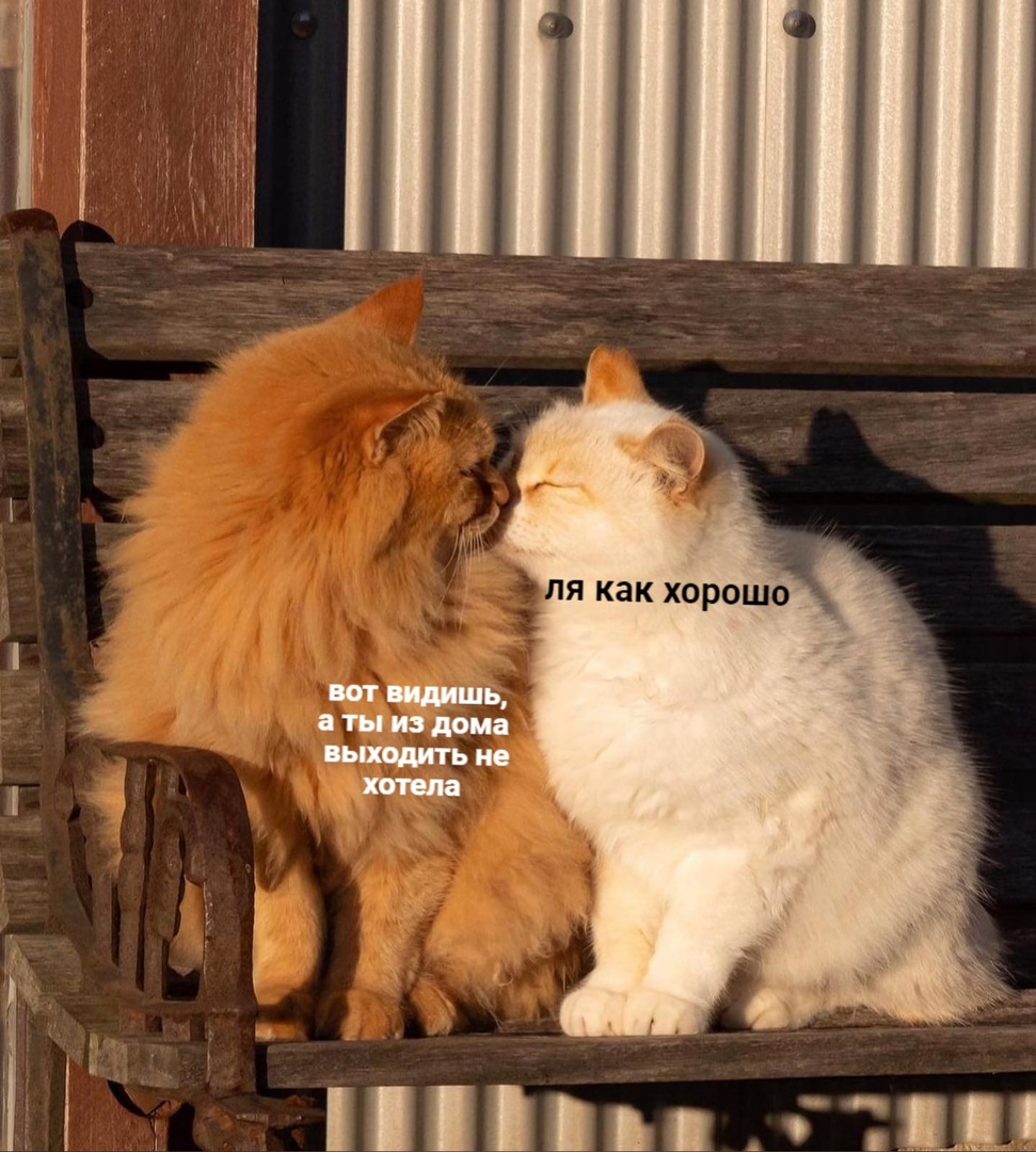 he71RLoPsqI.jpg