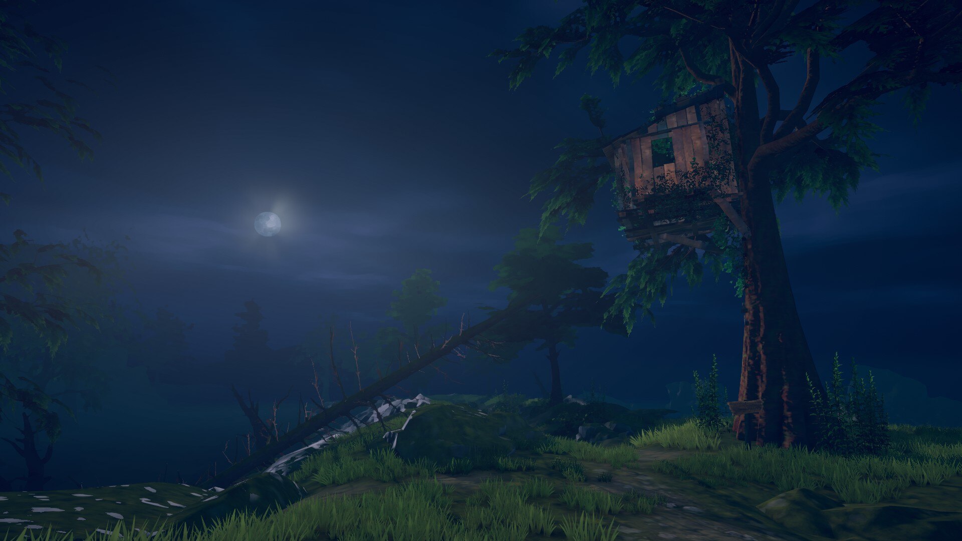 Без названия (21).jpg