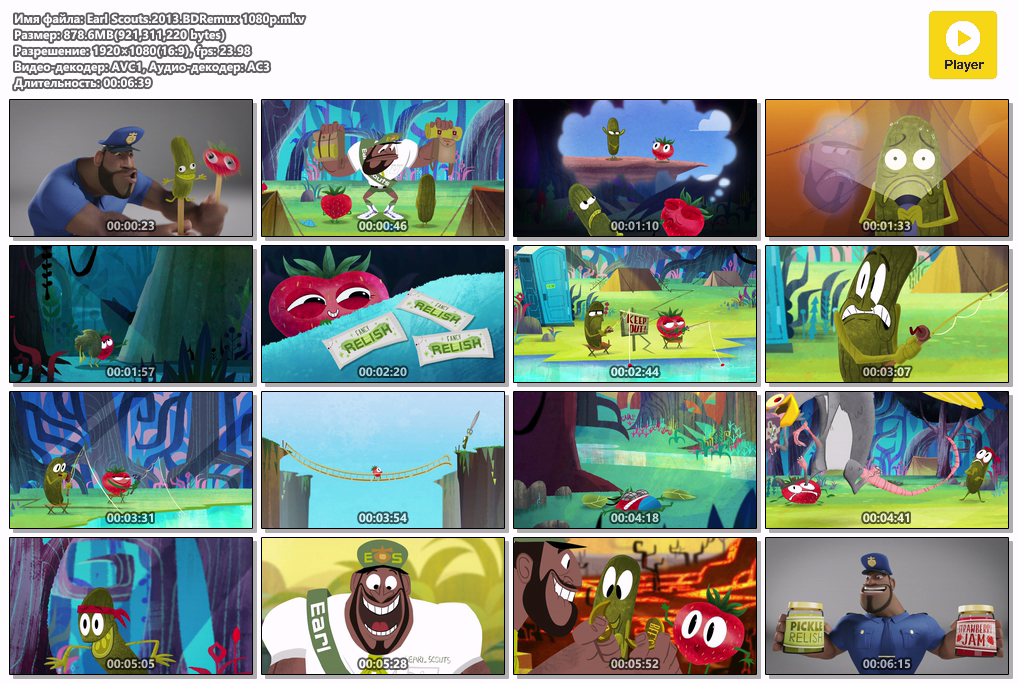 Earl Scouts.2013.BDRemux 1080p.mkv.png