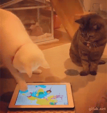 bf7a62696fbf64d24ac41d094512f34c.gif