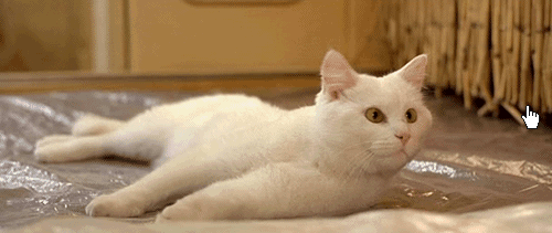 49b78419145e98f123a6940b588b9434.gif