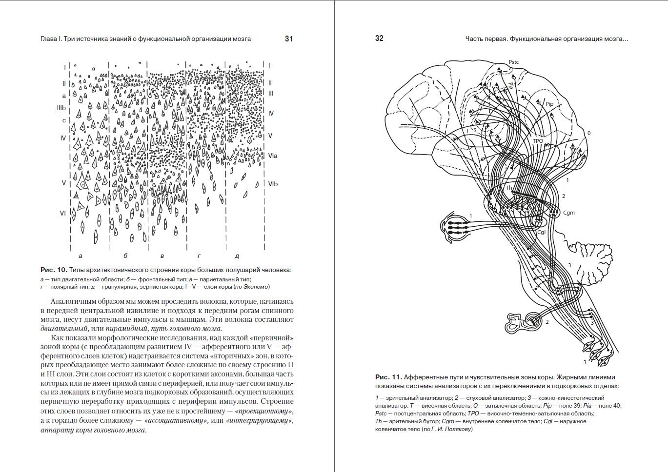 Александр Лурия | Основы нейропсихологии (2022) [PDF] :: NNM-Club