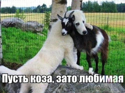 1c4647c0be5fcb884cac3b9b86055a8c.jpg